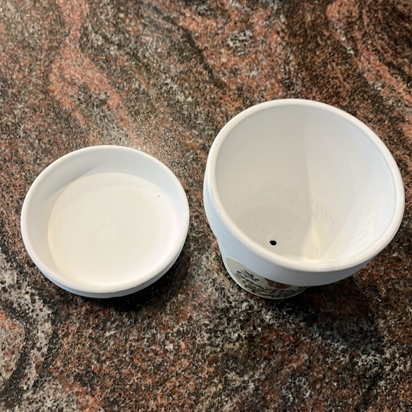 2.75 inch White Ceramic Mini Planter with Saucer/ Sometimes I wet my plants - Picture 8 of 8